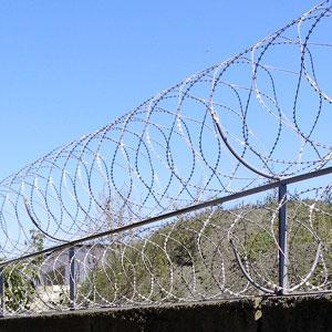 Колючая проволока ЕгоZа